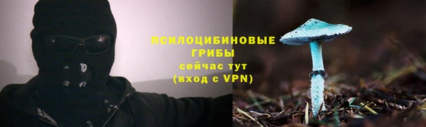хмурый Абинск