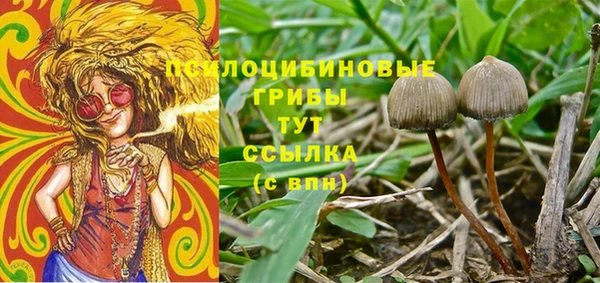 спиды Алексин