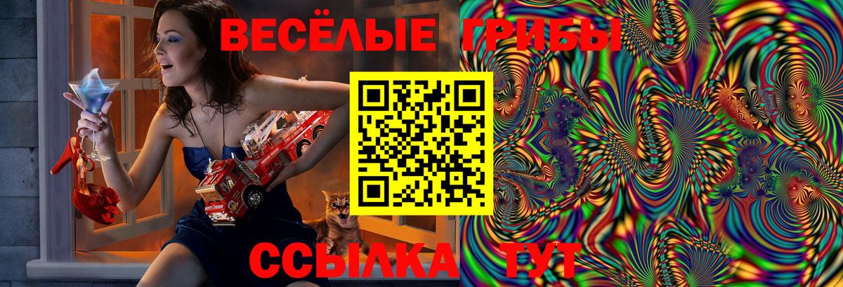 Галлюциногенные грибы ЛСД Искитим