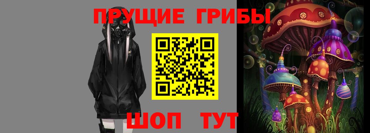 Искитим  Галлюциногенные грибы прущие грибы  Вход с VPN 