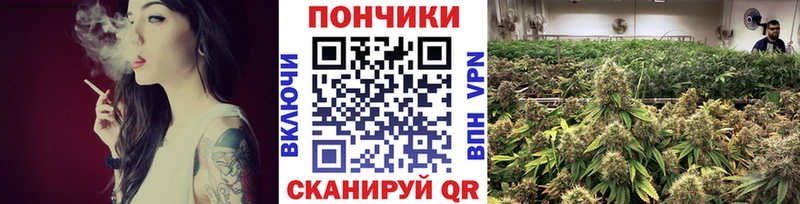 дарнет шоп  Искитим  Канабис семена 